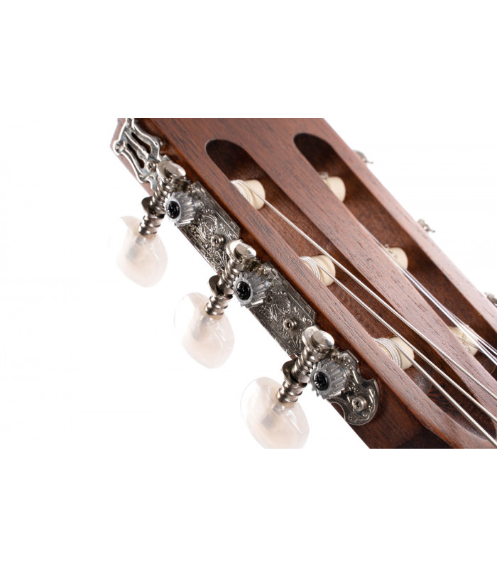 CORT AC100 OP