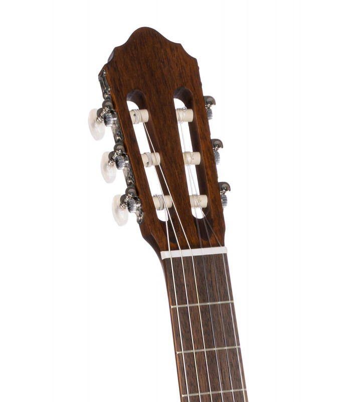 CORT AC100 OP