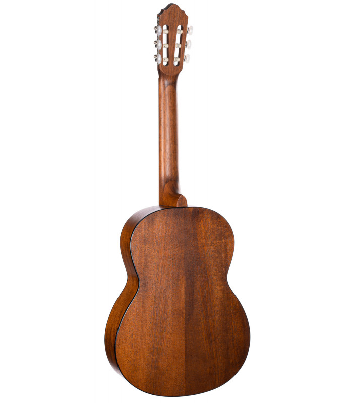 CORT AC100 OP