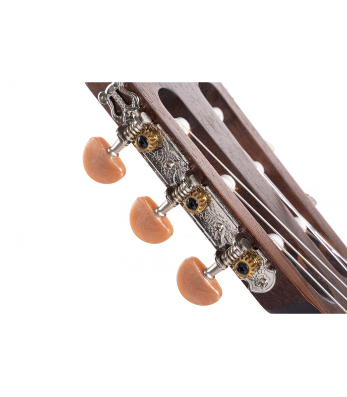 CORT AC120CE OP