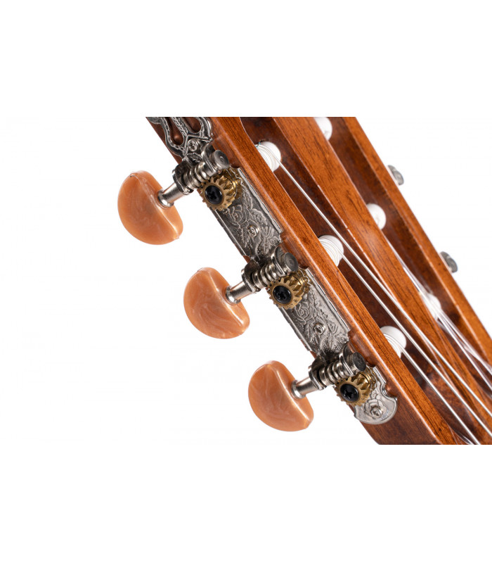 CORT AC100DX YT
