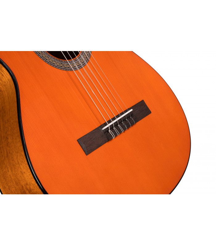 CORT AC100DX YT